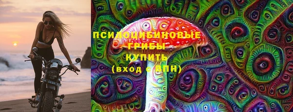 ECSTASY Алзамай