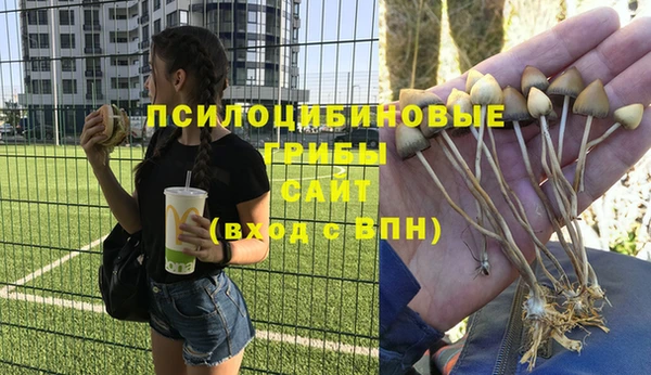 бутират Магадан