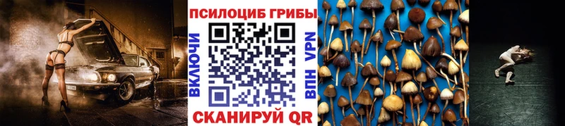 Псилоцибиновые грибы GOLDEN TEACHER  Усмань 